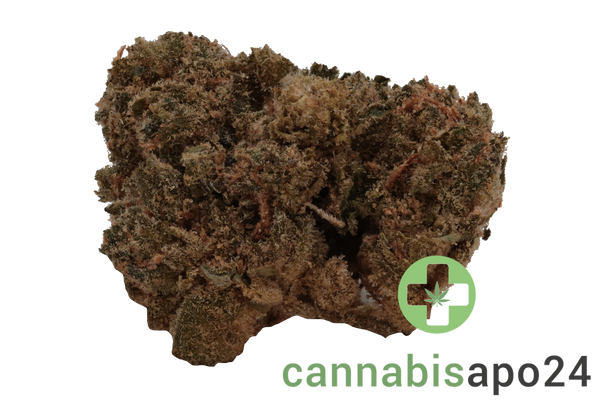 J.R. Strain 28/1 GP Gastro Pop