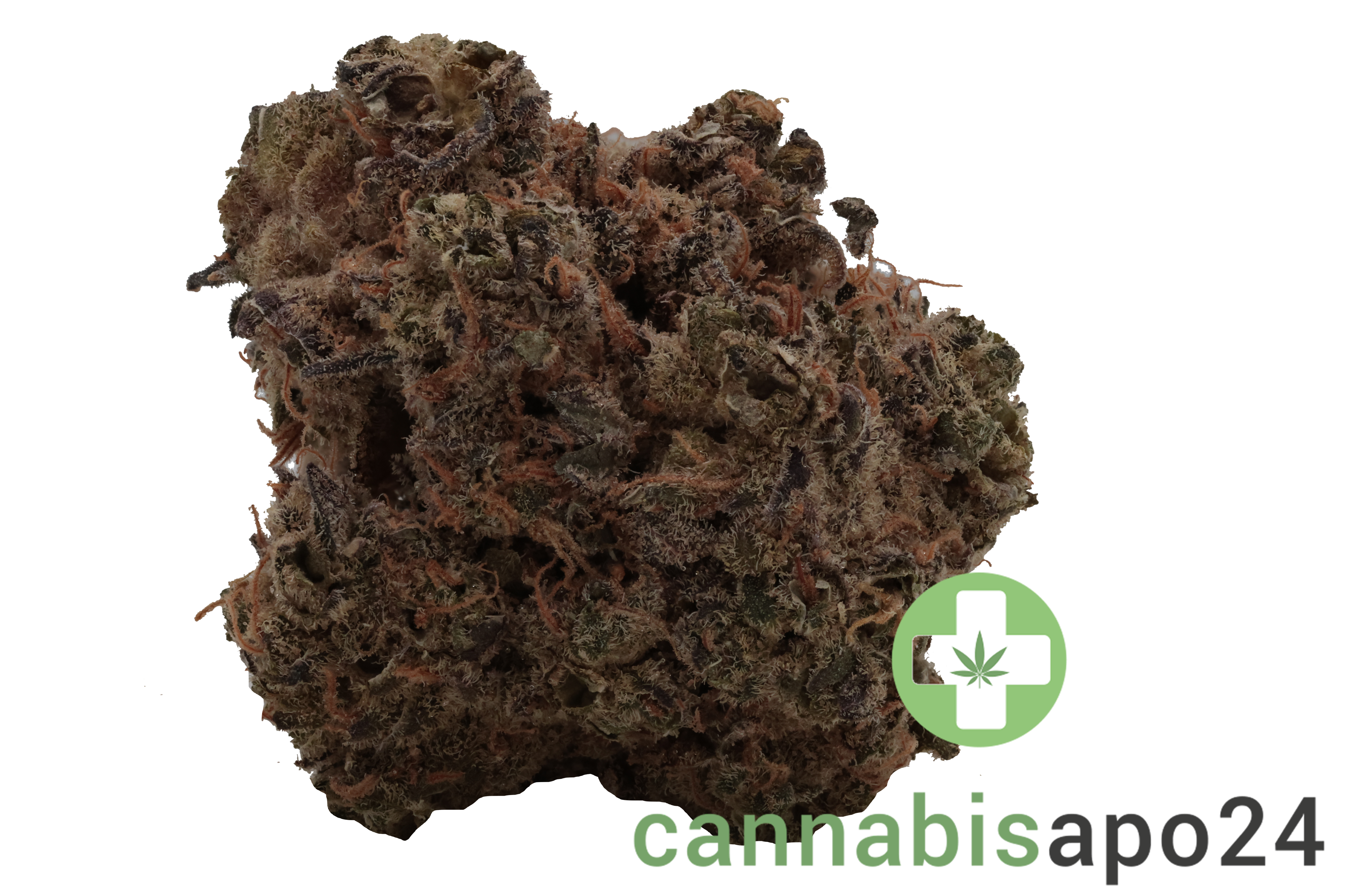 J.R. Strain 30/1 GT Garlic Truffle