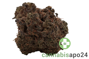 J.R. Strain 30/1 GT Garlic Truffle