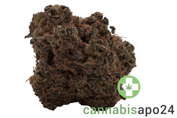 J.R. Strain 30/1 GT Garlic Truffle