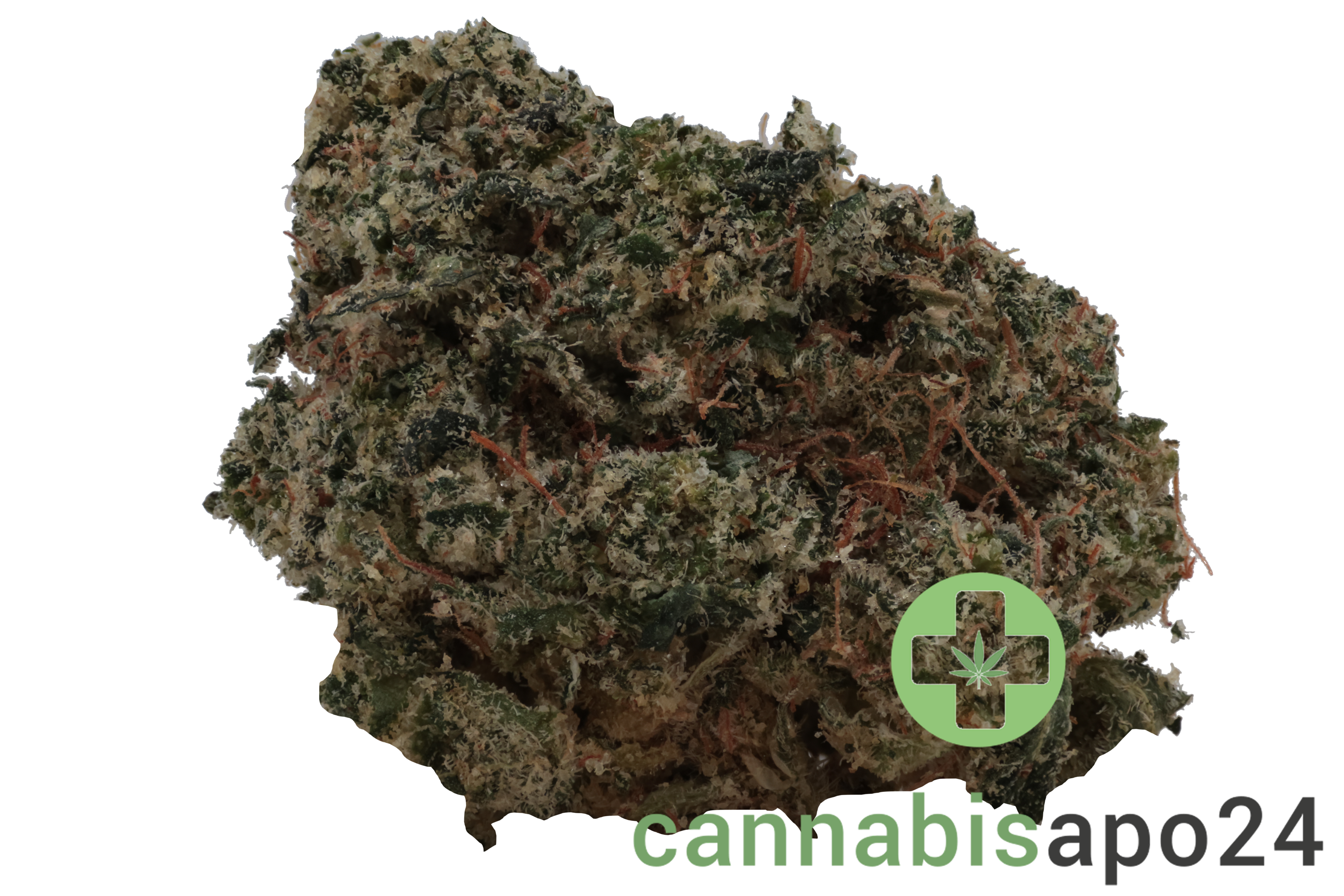 Khiron ELG 30/1 El Gordo