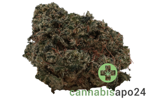 Khiron ELG 30/1 El Gordo