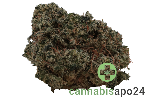 Khiron ELG 30/1 El Gordo