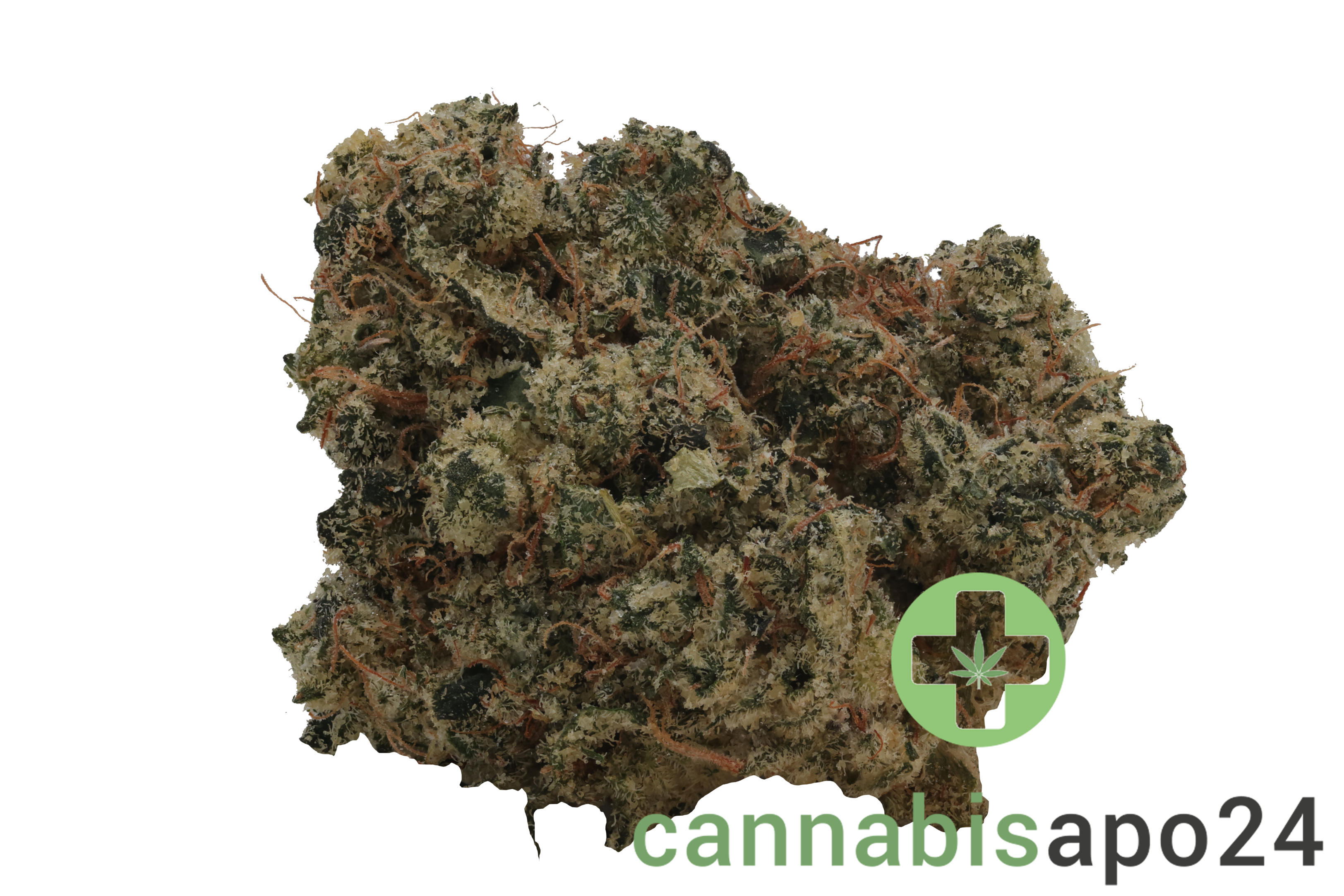 Khiron ELG 33/1 El Gordo