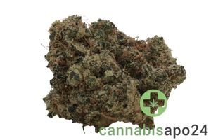 Khiron ELG 33/1 El Gordo