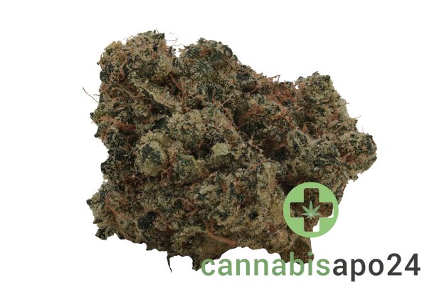 Khiron ELG 33/1 El Gordo