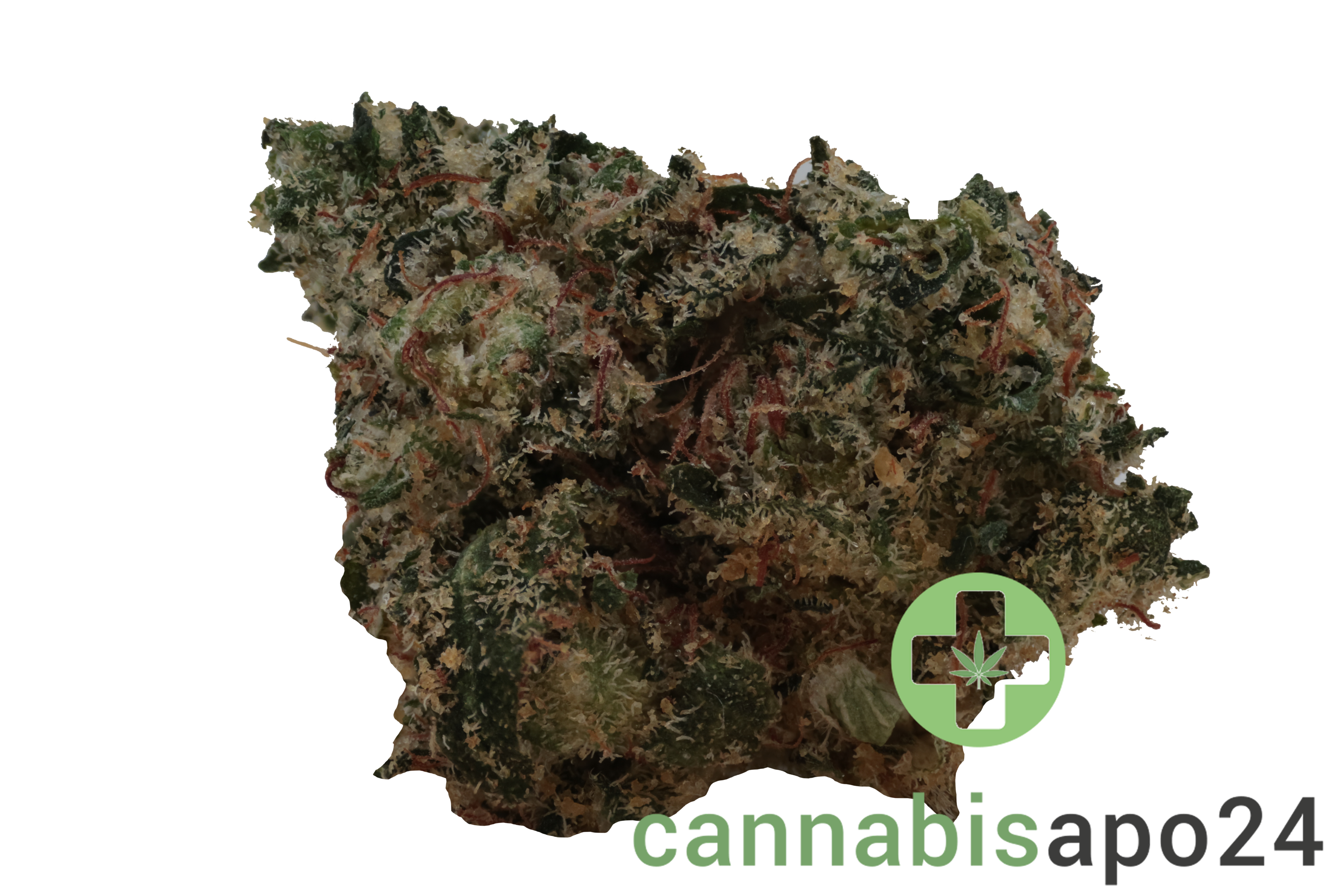 Khiron GP 30/1 Gordito Pequeno