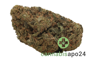 Khiron SLH 26/1 Super Lemon Haze