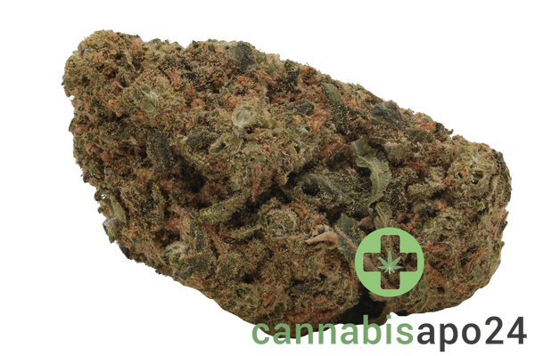 Khiron SLH 26/1 Super Lemon Haze