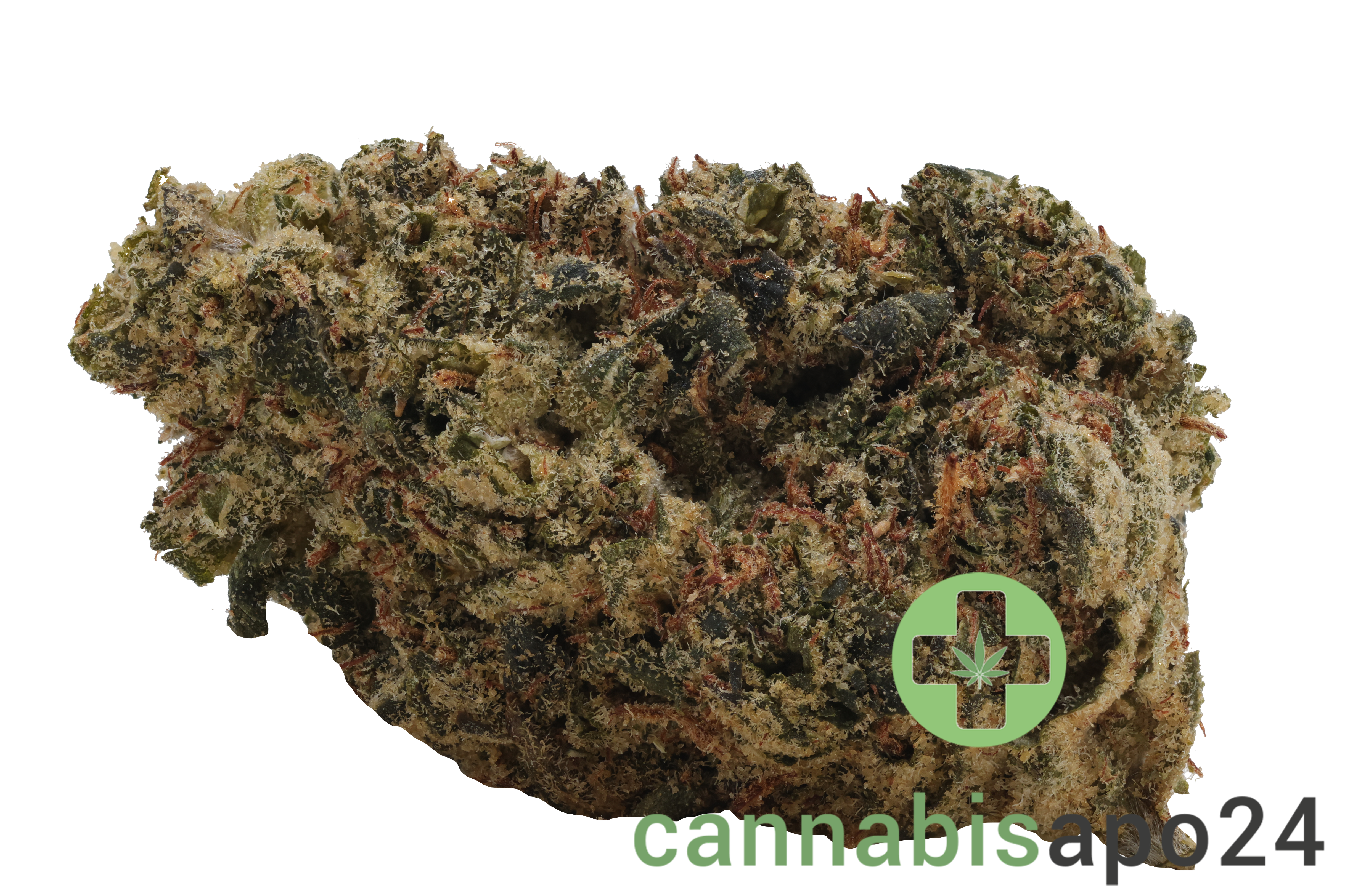 Kush Collective CBH 30/1 Cuban Haze