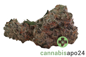 Kush Mountain Craft 27/1 ICK