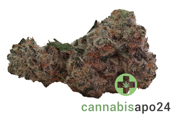 Kush Mountain Craft 27/1 ICK