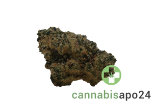 Lit 27/1 SH Sunset Sherbert