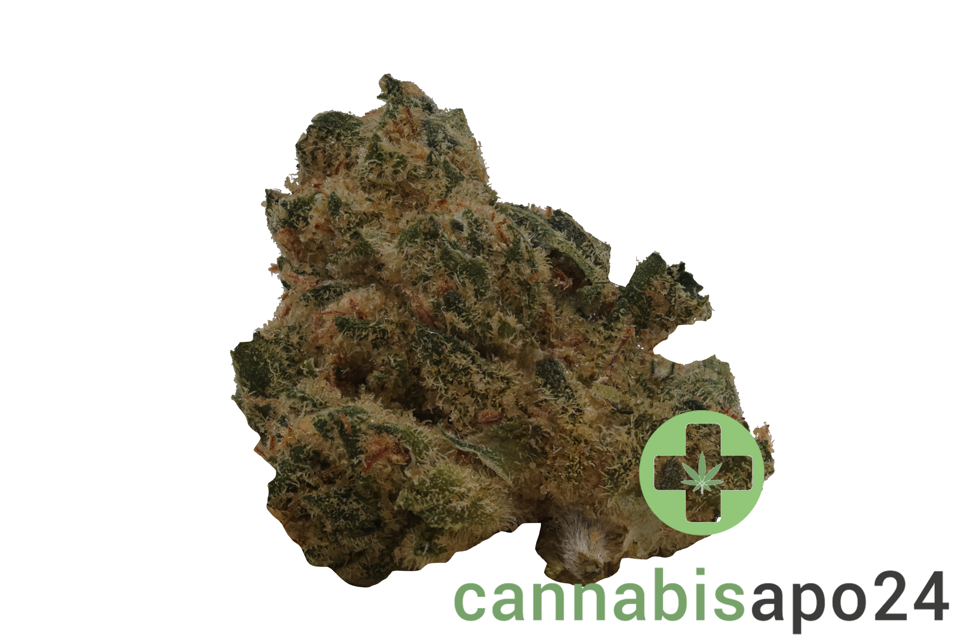 Lit 31/1 MKU Master Kush