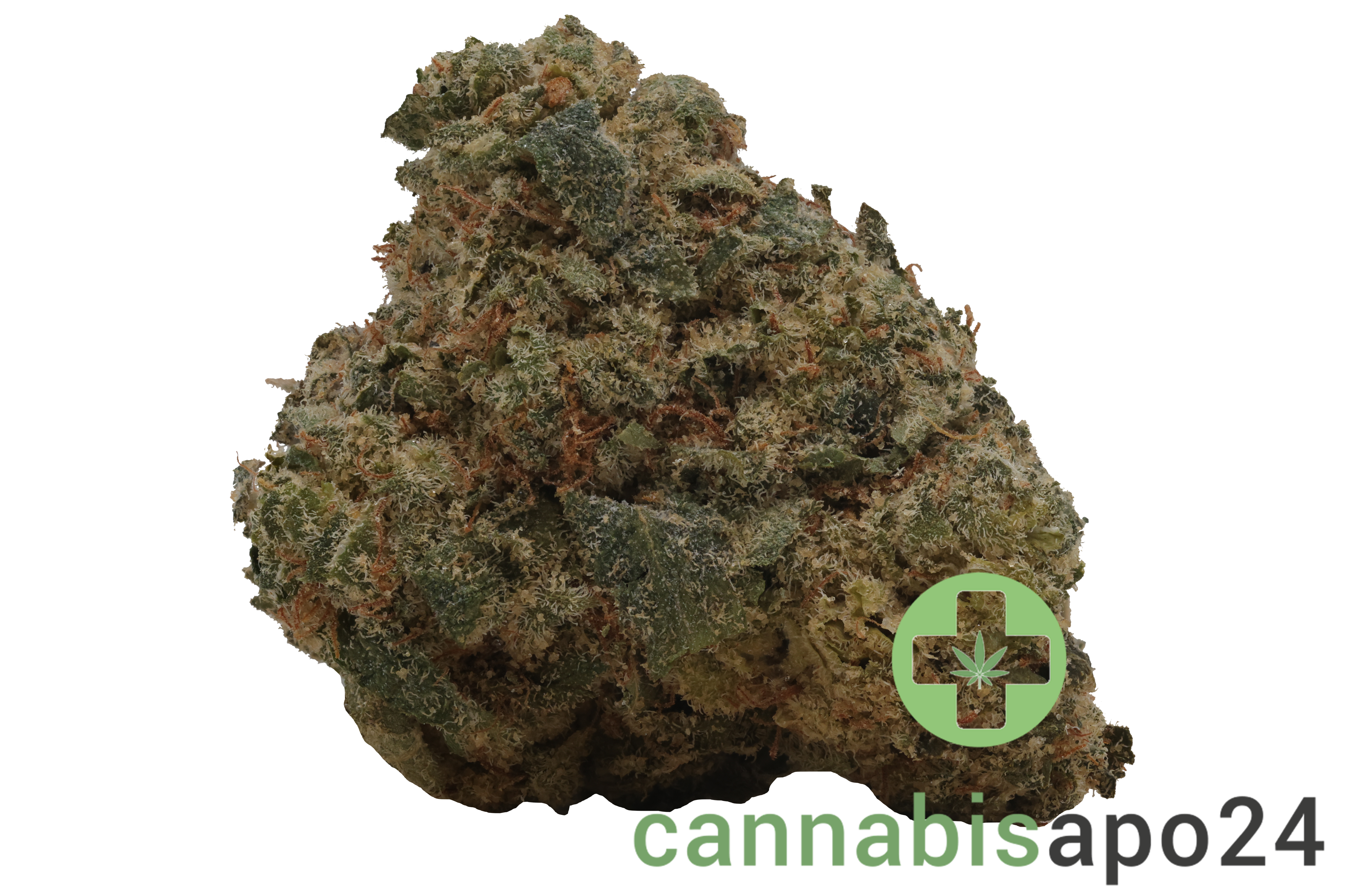LOT 420 GLOC 29/1 Gelato x Orange Cake