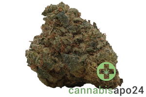 LOT 420 GLOC 29/1 Gelato x Orange Cake