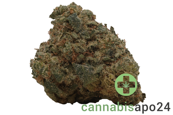 LOT 420 GLOC 29/1 Gelato x Orange Cake