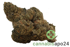 LOT 420 LEM Lemonatti
