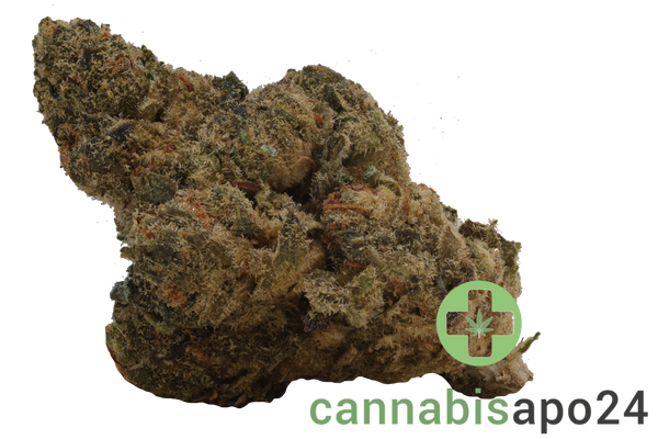 LOT 420 LEM Lemonatti