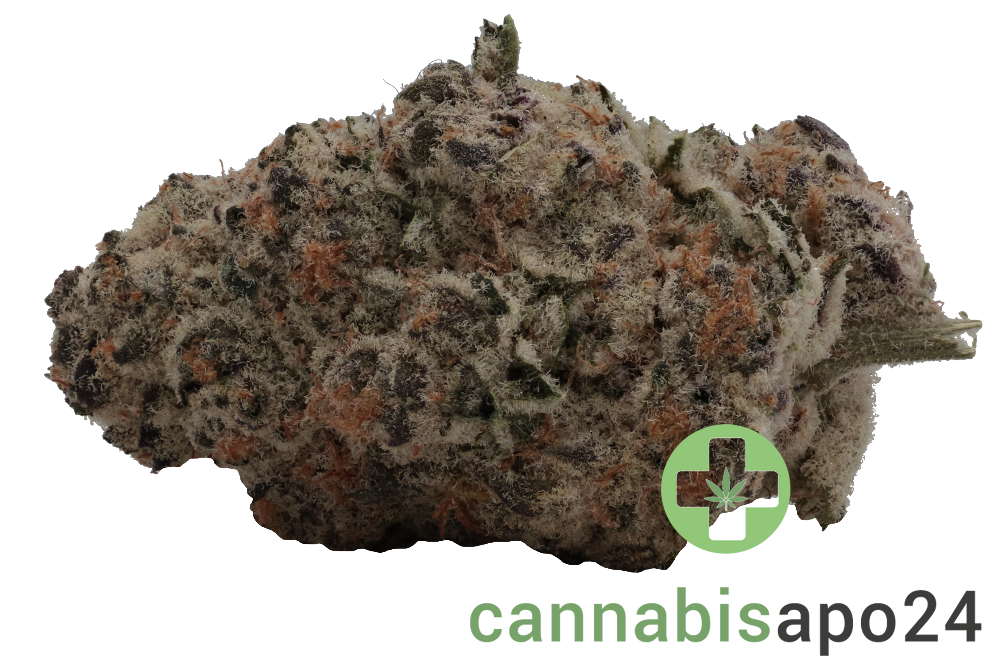 Luana 20/1 Electric - Bashengo