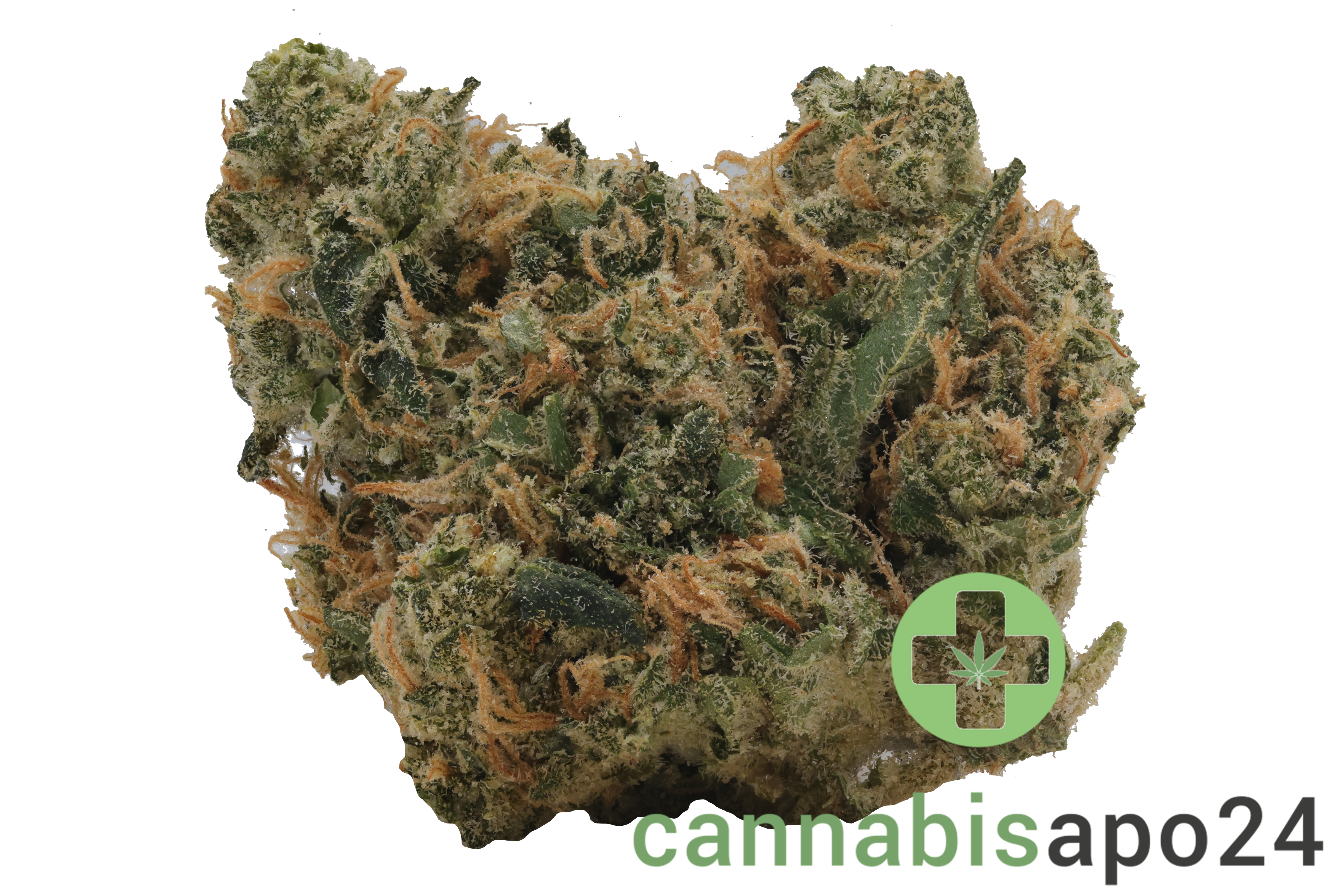 Luana 24/1 APE Sour Ape