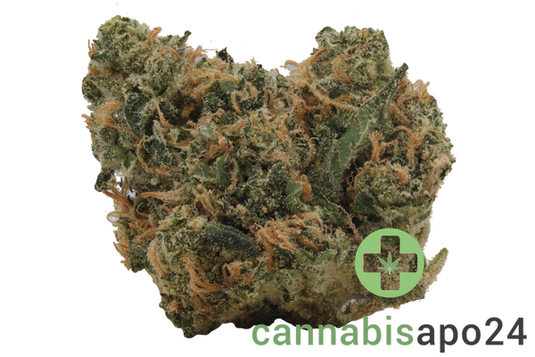 Luana 24/1 APE Sour Ape