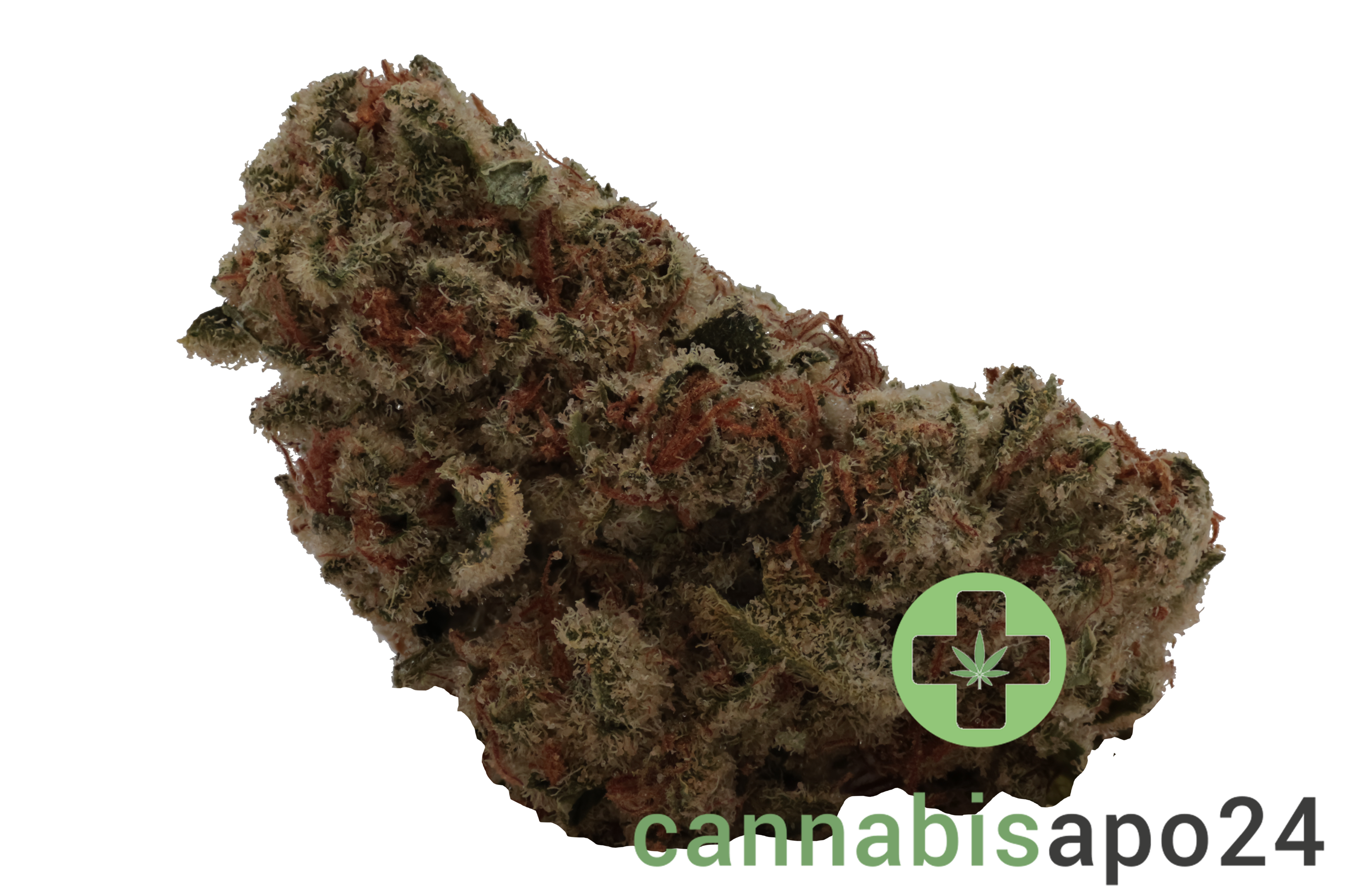 Luana 24/1 Rainbow - Papaya Bomb