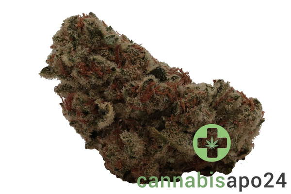 Luana 24/1 Rainbow - Papaya Bomb