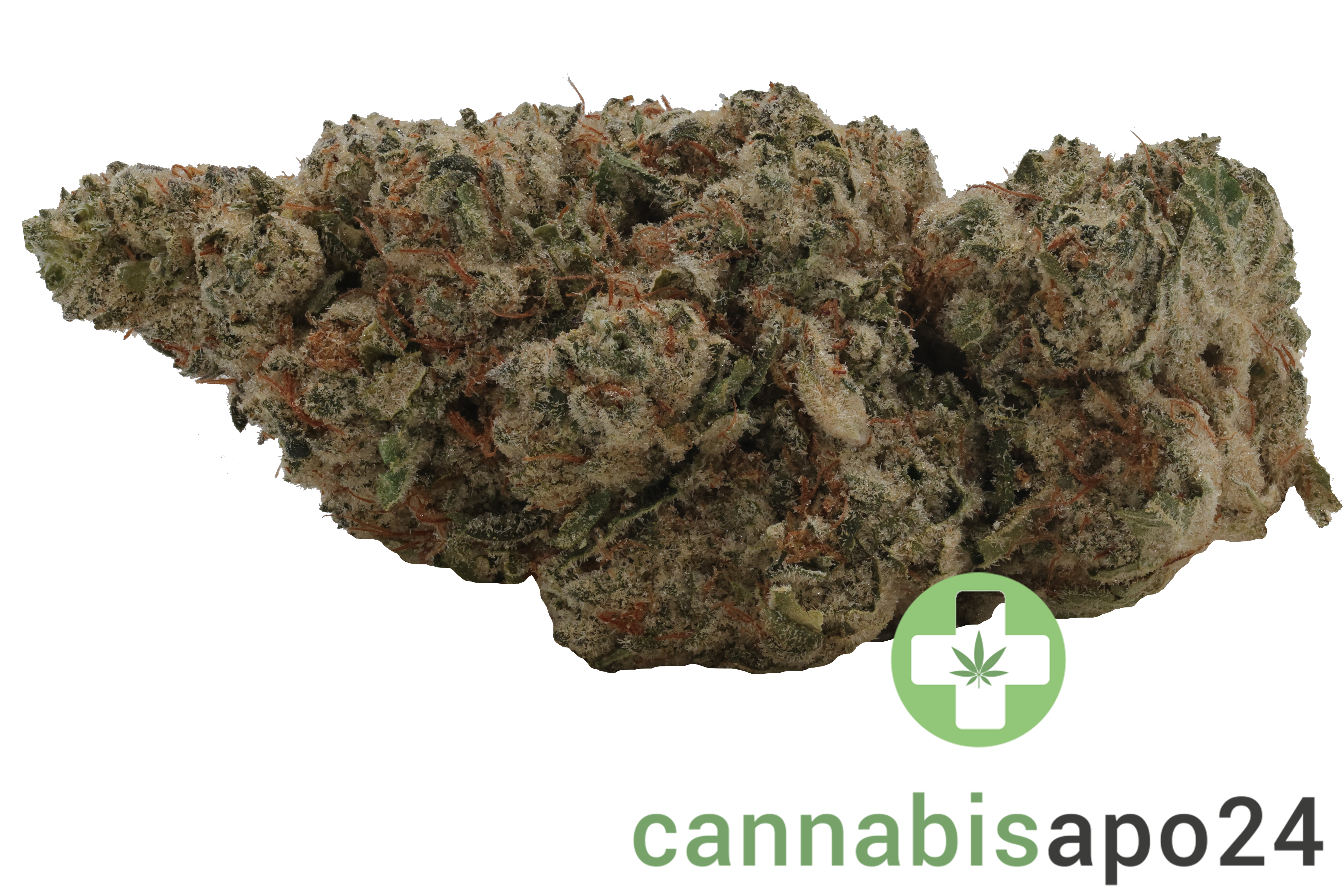 Luana 32/1 Pine Solpina Magic