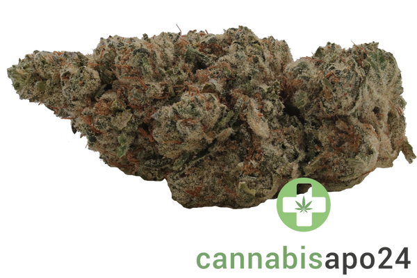 Luana 32/1 Pine Solpina Magic