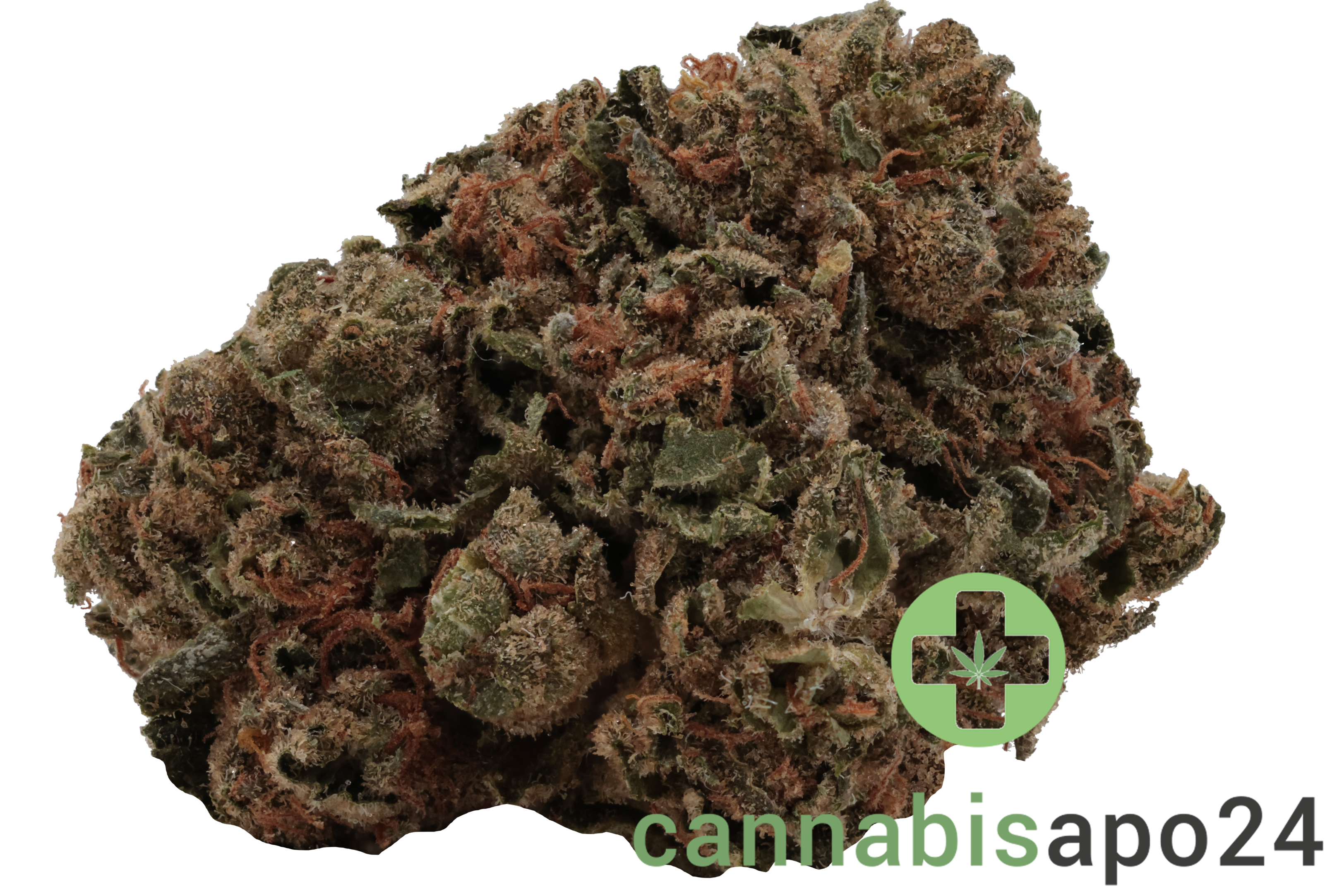 madrecan 21/1 GB Garlic Budder