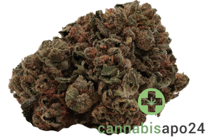 madrecan 21/1 GB Garlic Budder