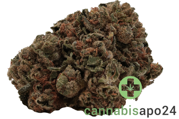 madrecan 21/1 GB Garlic Budder