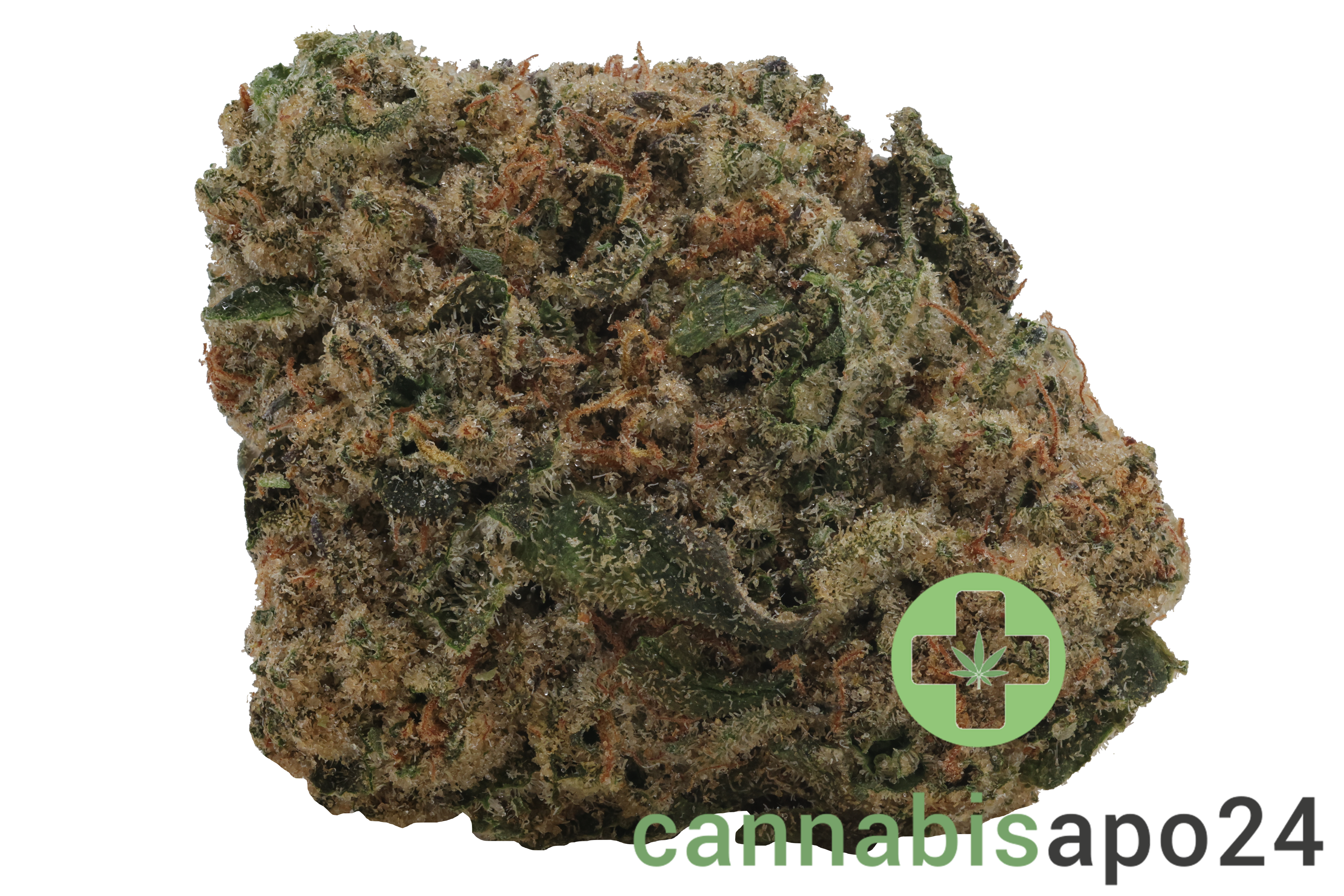 madrecan 27/1 GB9 Garlic Budder