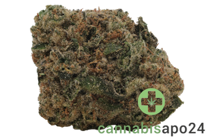 madrecan 27/1 GB9 Garlic Budder