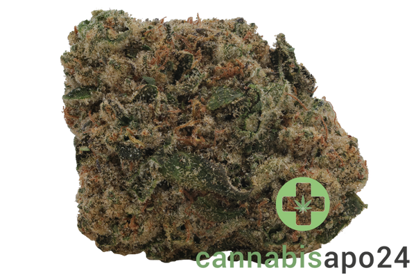 madrecan 27/1 GB9 Garlic Budder