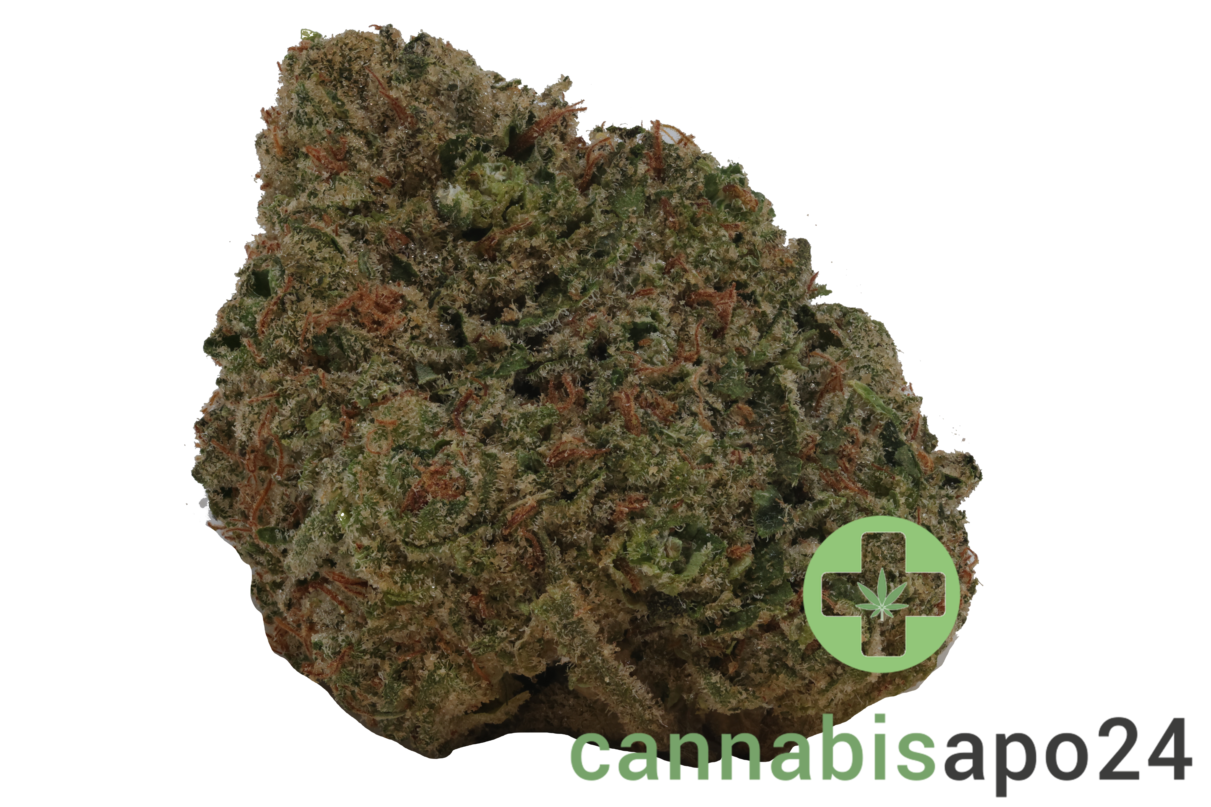madrecan 24/1 GB9 Garlic Budder