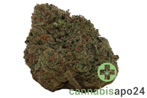 madrecan 24/1 GB9 Garlic Budder