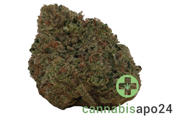 madrecan 24/1 GB9 Garlic Budder