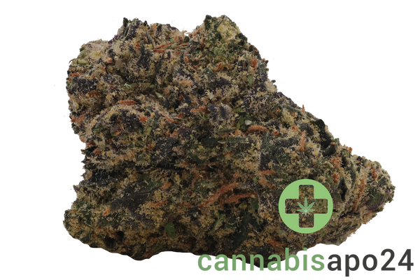 Materia KMZ 22/1 Blue Zushi