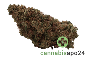 MCOS Strong 27/1 MDOC PXY Proxy