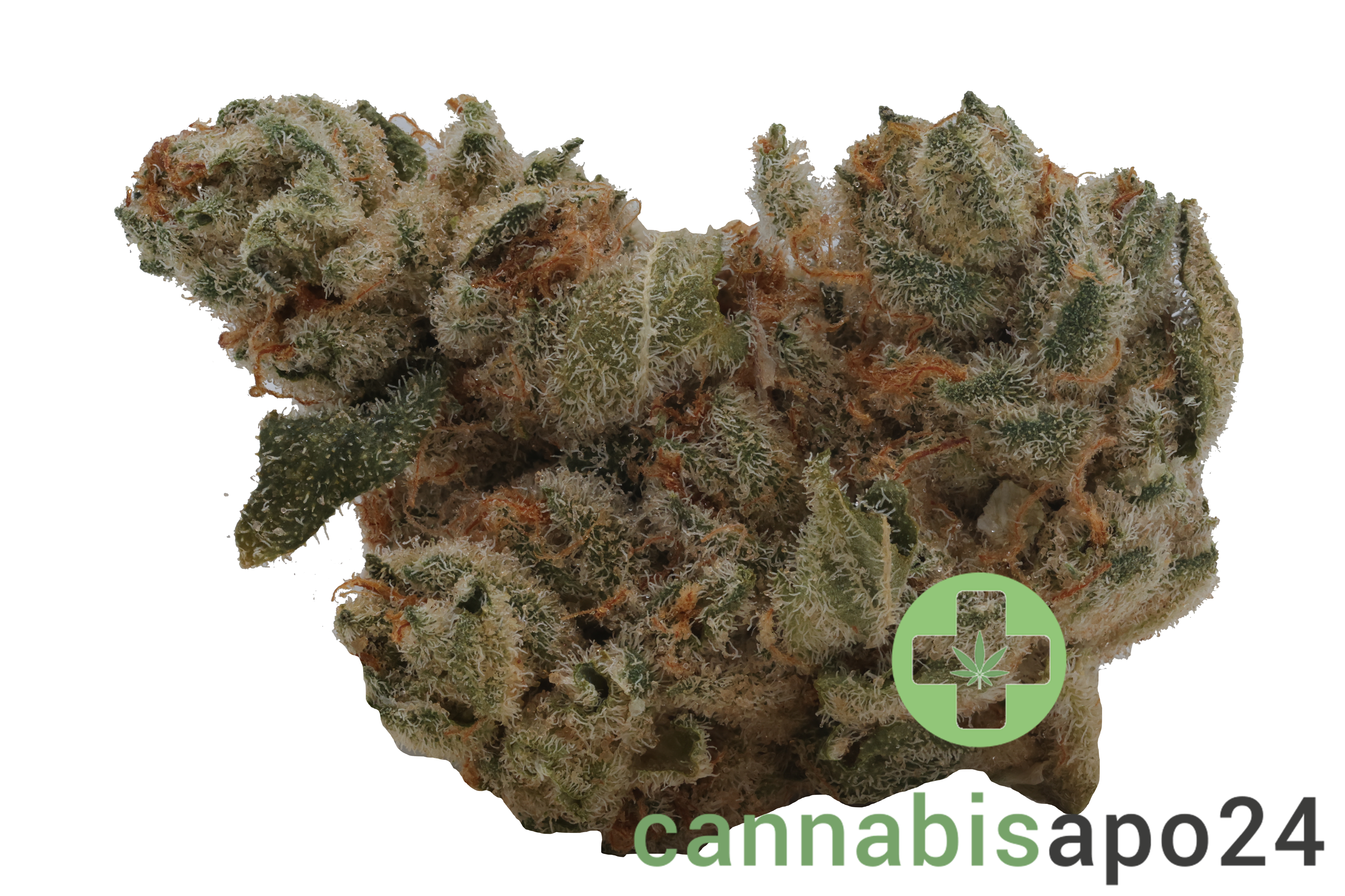 Cookies 26/1 MD Medellin