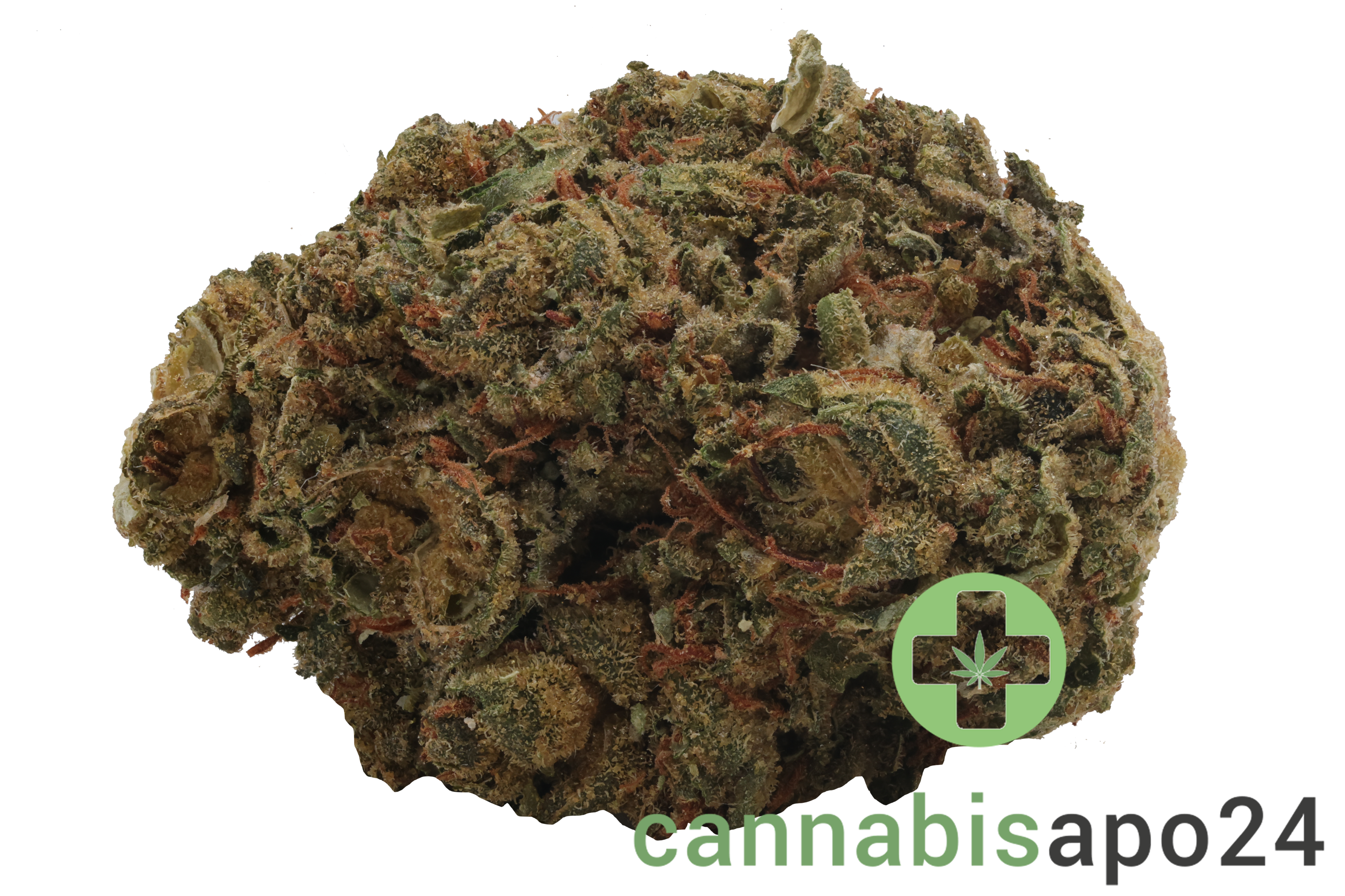 Medical Saints 18/1 MGE Mango Gelato