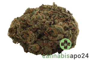 Medical Saints 18/1 MGE Mango Gelato