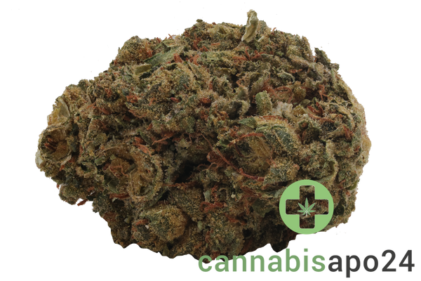 Medical Saints 18/1 MGE Mango Gelato