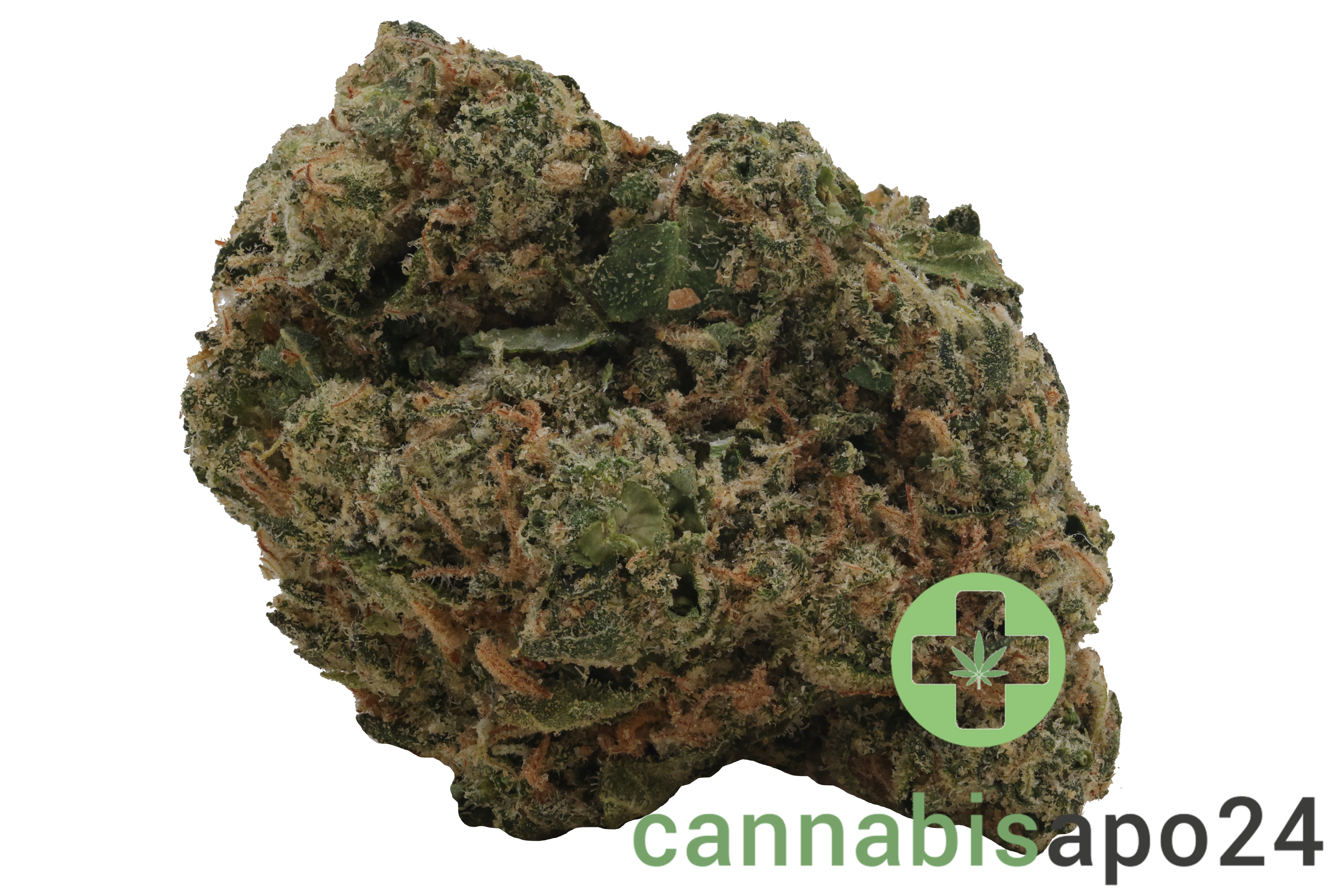 Medical Saints 21/1 ICC Ice Cream Cake