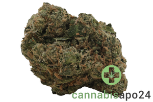Medical Saints 21/1 ICC Ice Cream Cake