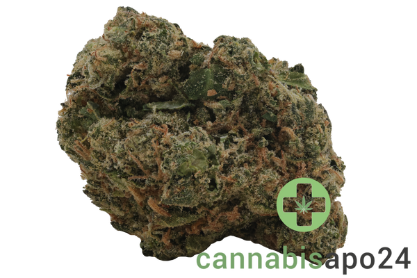Medical Saints 21/1 ICC Ice Cream Cake
