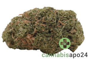 Medical Saints 21/1 USR Ultra Sour