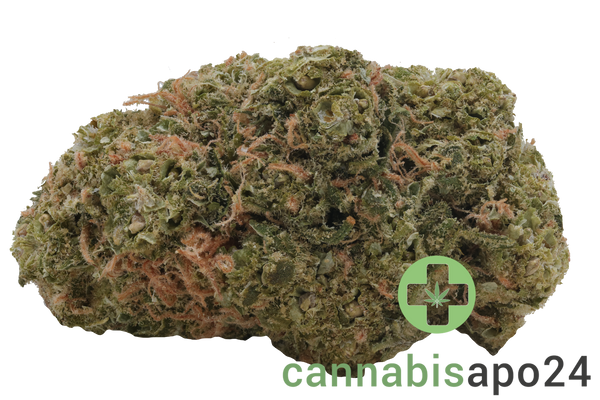 Medical Saints 21/1 USR Ultra Sour